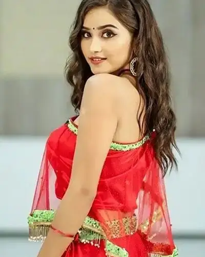 Call Girls Service Arsikere